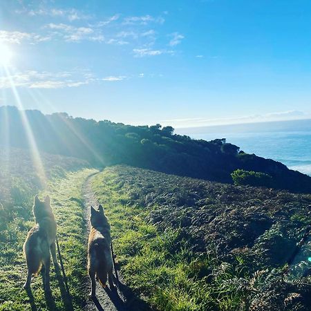 Great Ocean Road Wellness And Nature Stay アポロ・ベイ エクステリア 写真