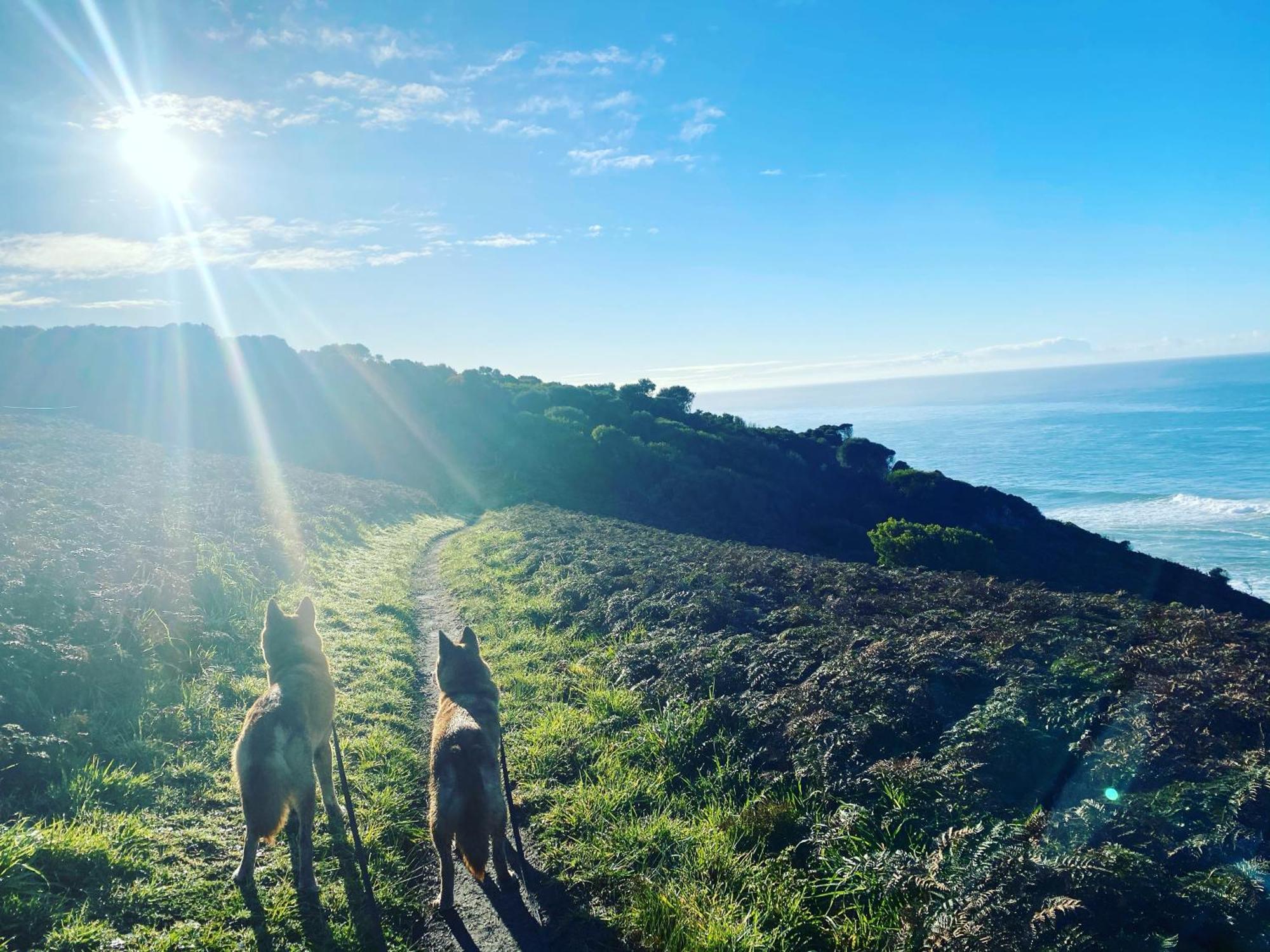 Great Ocean Road Wellness And Nature Stay アポロ・ベイ エクステリア 写真