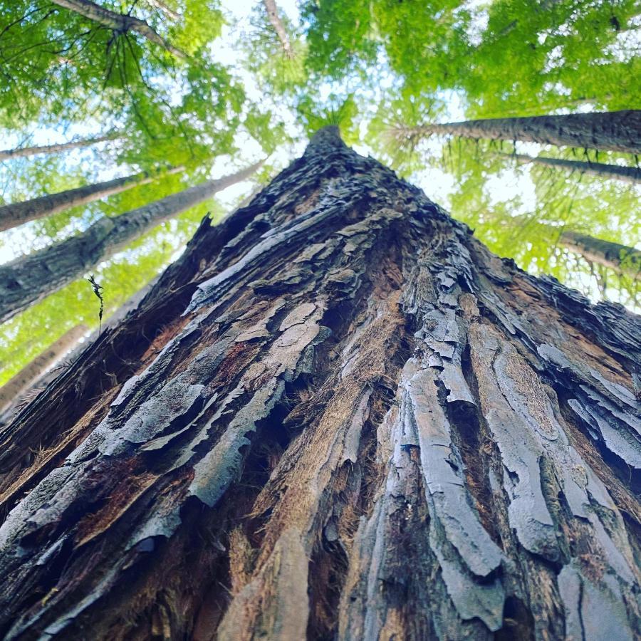 Great Ocean Road Wellness And Nature Stay アポロ・ベイ エクステリア 写真