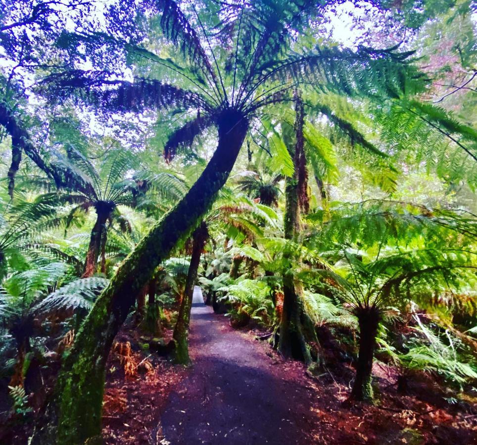 Great Ocean Road Wellness And Nature Stay アポロ・ベイ エクステリア 写真