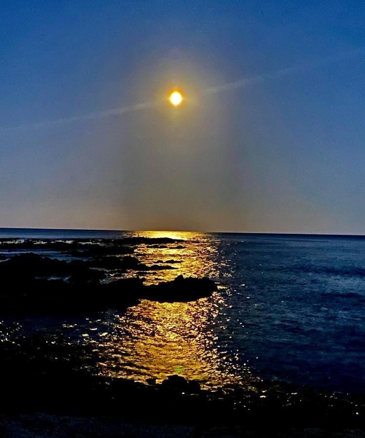 Great Ocean Road Wellness And Nature Stay アポロ・ベイ エクステリア 写真