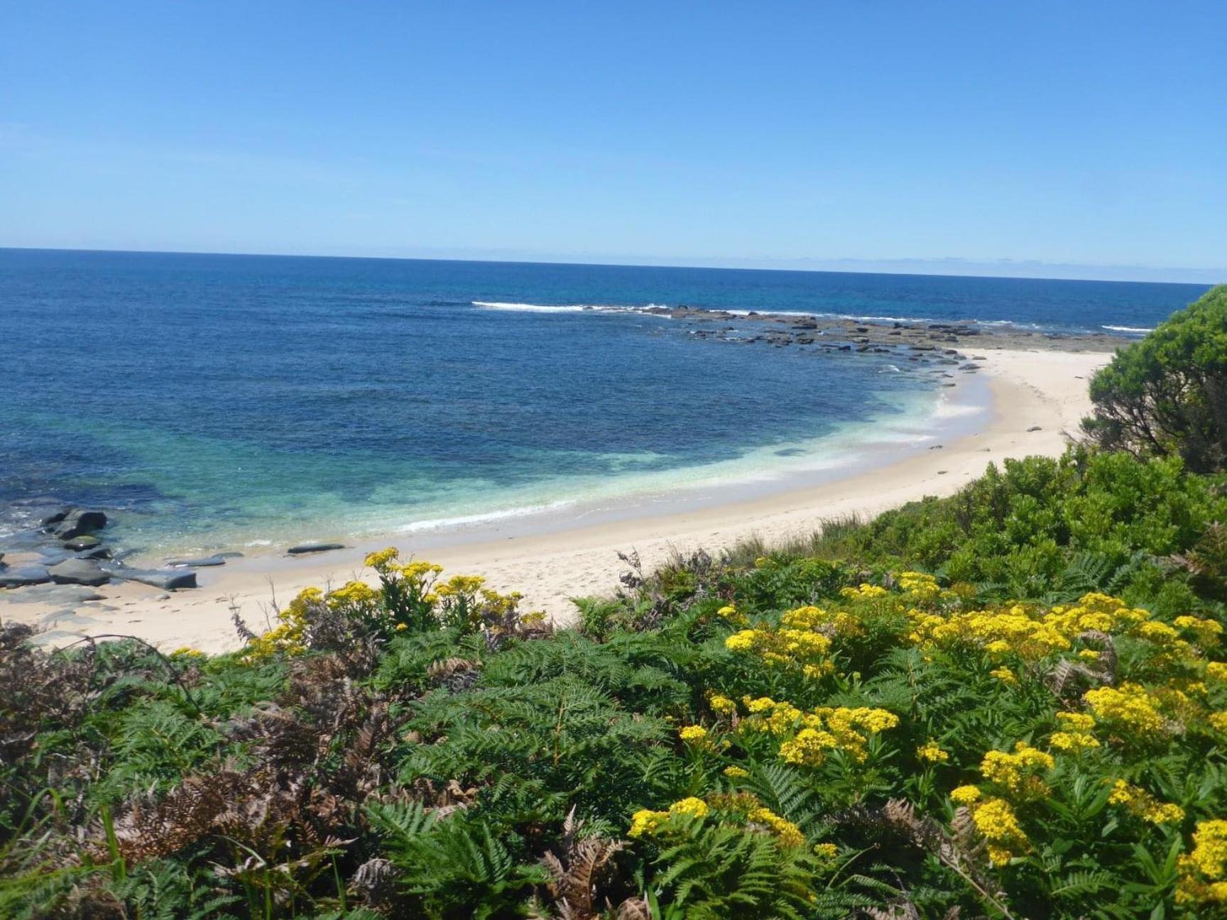 Great Ocean Road Wellness And Nature Stay アポロ・ベイ エクステリア 写真