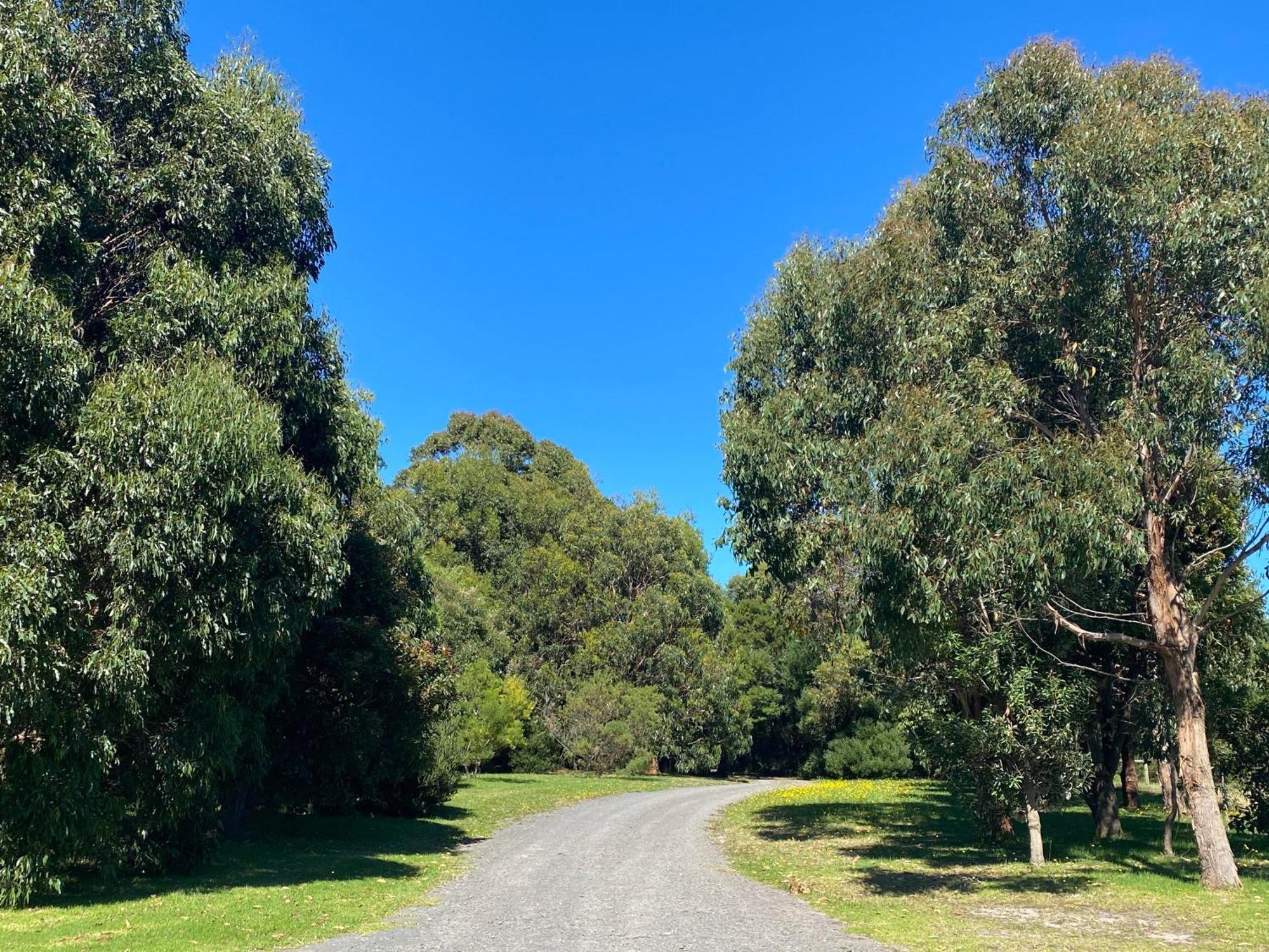 Great Ocean Road Wellness And Nature Stay アポロ・ベイ エクステリア 写真